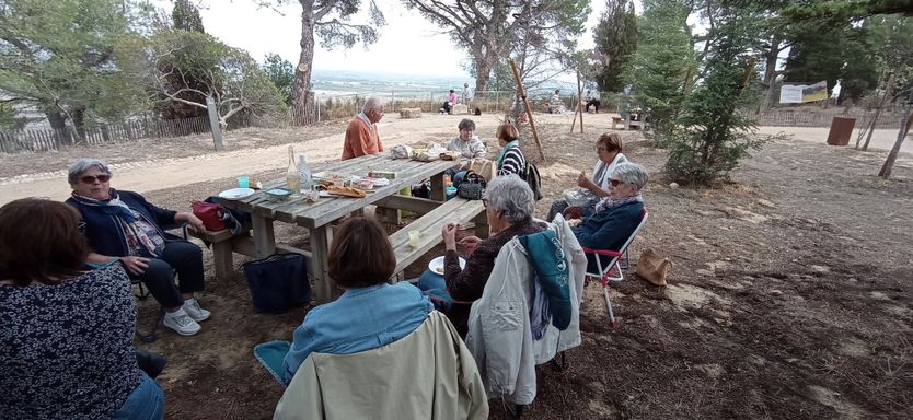 Tous regroupés sur l'aire de pique nique